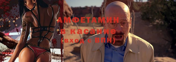 шишки Абинск