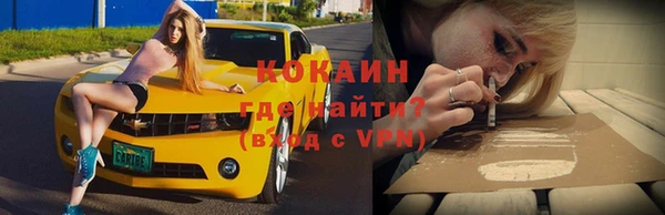 шишки Абинск