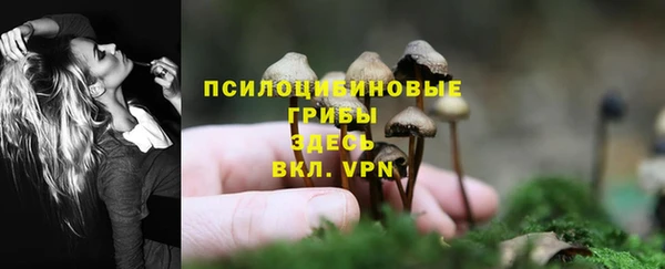 шишки Абинск