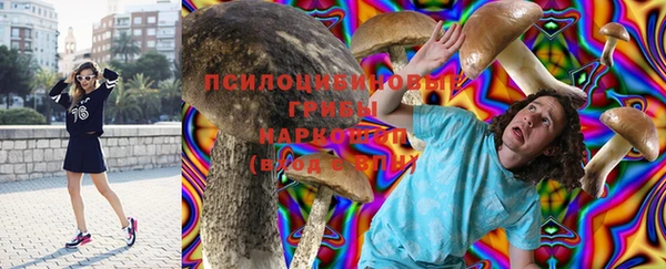 PSILOCYBIN Абдулино