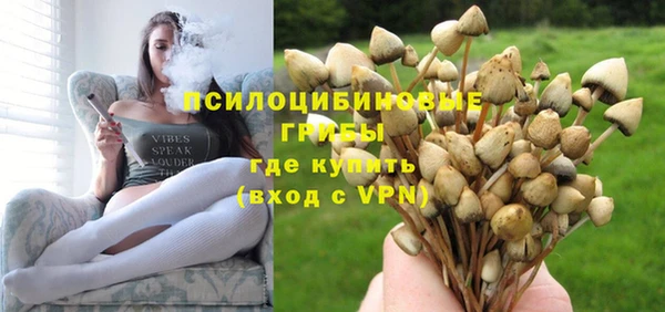 PSILOCYBIN Абдулино